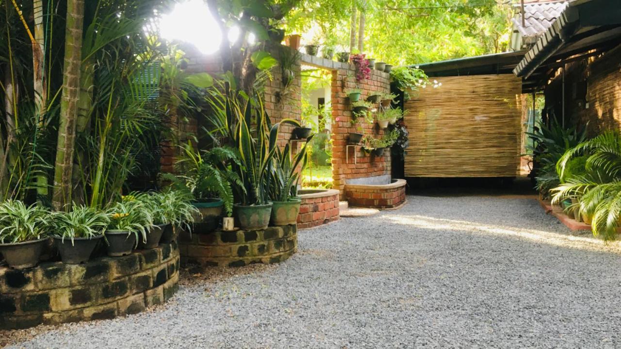 Mowgli Cottage Сигирия Екстериор снимка